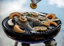 CADAC Camping Gasgrill Carri Chef 50 / BBQ Plancha + Dome - 50 Mbar -Geschäft Für Grillzubehör CADAC Carri Chef 50 Plancha