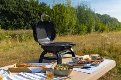 Napoleon TravelQ 240 Kompakt Gasgrill Schwarz- Modell 2023 27 Napoleon TravelQ 240 Kompakt Gasgrill Schwarz- Modell 2023 -Geschäft Für Grillzubehör Napoleon TravelQ TQ240 Kompaktgrill