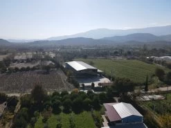 Grillfürst Feinkost - Olivenöl Niz Olive Memecik - Nativ Extra - Mehrfach International Preisgekrönt - 500ml -Geschäft Für Grillzubehör Niz Olive Produktionsstaette bestes Olivenoel weltwet