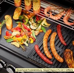Rösle Gasgrill Magnum PRO G3 - X-DEAL Inkl. Abdeckhaube Und Gusseisen Grillplatte - Modell 2023 -Geschäft Für Grillzubehör Roesle Magnum Pro Grillflaeche Beispiel G4 S