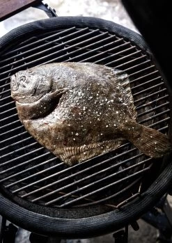 The Bastard Keramikgrill Urban Medium - Complete - Schwarz Matt - Modell 2023 -Geschäft Für Grillzubehör The Bastard Medium Keramikgrill Grillflaeche