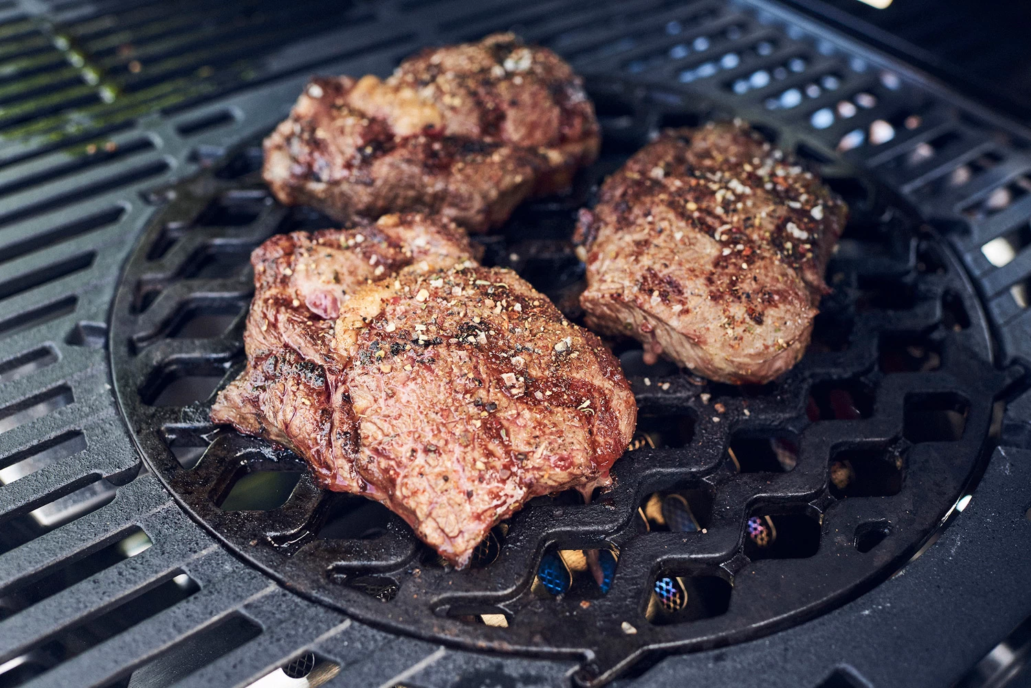 Enders Switch Grid Einsatz: Sear Grate Gusseisenrost 3 Enders Switch Grid Einsatz: Sear Grate Gusseisenrost – Bild 3